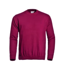 SWEATER ROLAND -Veilig Werk Winkel 719 2