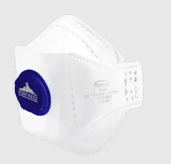 Portwest VOUWMASKER FFP2 D P291